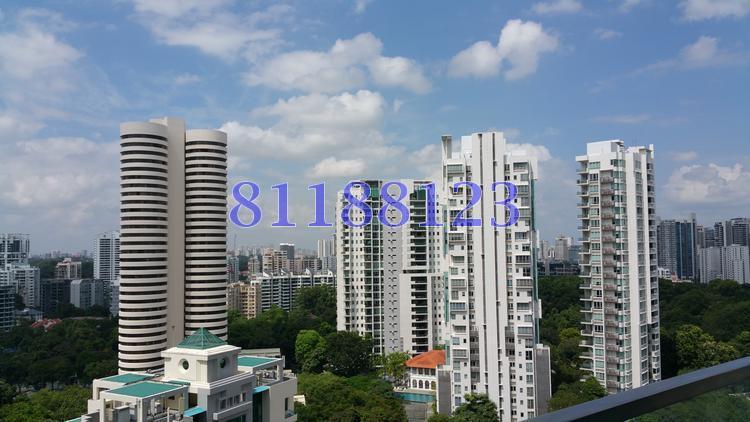 The Arc at Draycott (D10), Apartment #112497332